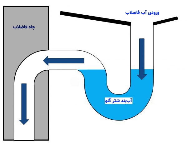 سیفون‌ها